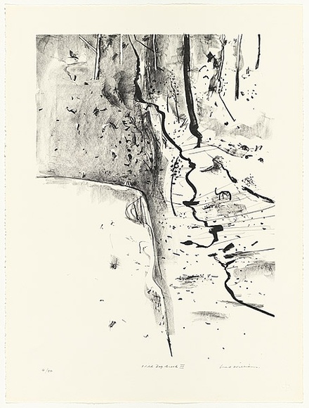 Artist: b'WILLIAMS, Fred' | Title: b'Wild Dog Creek II' | Date: 1977-78 | Technique: b'lithograph, printed in black ink, from one zinc plate' | Copyright: b'\xc2\xa9 Fred Williams Estate' Artist: b'WILLIAMS, Fred' | Title: b'Wild Dog Creek II' | Date: 1977-78 | Technique: b'lithograph, printed in black ink, from one zinc plate' | Copyright: b'\xc2\xa9 Fred Williams Estate'