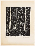 Artist: Hickey, Dale. | Title: (Bush scene) | Date: 1980 | Technique: lithograph, printed in black ink, from one plate