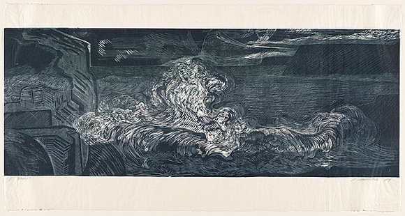 Artist: b'Marshall, Jennifer.' | Title: b'Bruny.' | Date: 1997 | Technique: b'linocut, printed in colour, from multiple blocks'