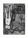 Artist: b'Shearer, Mitzi.' | Title: b'Woman with a past' | Date: 1981 | Technique: b'etching, aquatint, printed in brown, from one plate'