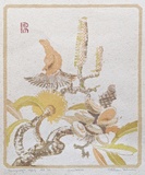 Artist: Palmer, Ethleen. | Title: Banksia. | Date: 1949 (dated) | Technique: screenprint, printed in colour, from multiple stencils