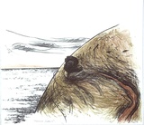 Artist: Trenfield, Wells. | Title: Mariners lookout | Date: 1980s | Technique: lithograph, printed in colour, from multiple stones