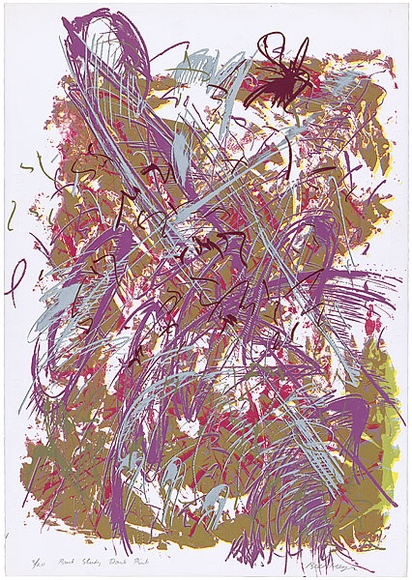 Artist: b'MEYER, Bill' | Title: b'Bush study dark pink' | Date: 1987 | Technique: b'screenprint, printed in colour, from multiple screens (direct and indirect reduction)' | Copyright: b'\xc2\xa9 Bill Meyer' Artist: b'MEYER, Bill' | Title: b'Bush study dark pink' | Date: 1987 | Technique: b'screenprint, printed in colour, from multiple screens (direct and indirect reduction)' | Copyright: b'\xc2\xa9 Bill Meyer'