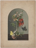 Title: not titled [flowers and butterflies] | Date: c.1880 | Technique: lithograph, printed in colour, from multiple stones