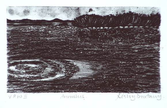 Artist: b'Duxbury, Lesley.' | Title: b'Annulus' | Date: 1986, November | Technique: b'lithograph, printed in colour, from two stones' Artist: b'Duxbury, Lesley.' | Title: b'Annulus' | Date: 1986, November | Technique: b'lithograph, printed in colour, from two stones'