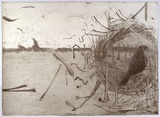 Artist: McIntosh, Alison. | Title: Bower bird I | Date: 1998, November | Technique: etching, printed in colour a la poupé, from one plate