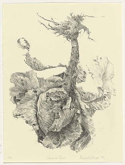 Artist: Kruger, Elisabeth. | Title: Green at heart | Date: 1992 | Technique: lithograph, printed in black ink, from one stone