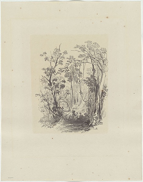 Artist: b'Martens, Conrad.' | Title: b'Illawarra landscape.' | Date: 1851 | Technique: b'lithograph, printed in colour, from multiple stones' Artist: b'Martens, Conrad.' | Title: b'Illawarra landscape.' | Date: 1851 | Technique: b'lithograph, printed in colour, from multiple stones'