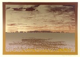 Artist: Cole-Adams, Brigid. | Title: not titled. | Date: 1974 | Technique: screenprint, printed in colour, from five stencils