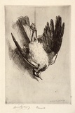 Artist: LINDSAY, Lionel | Title: Peewit | Date: 1916 | Technique: etching, printed in warm black ink with plate-tone, from one plate | Copyright: Courtesy of the National Library of Australia