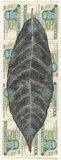 Artist: HALL, Fiona | Title: Theobroma cacao - Chocolate tree (Brazilian currency) | Date: 2000 - 2002 | Technique: gouache | Copyright: © Fiona Hall
