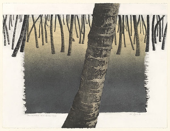 Artist: b'EWINS, Rod' | Title: b'Black Sand Beach.' | Date: 1990, January | Technique: b'spray-can aquatint, printed in black ink, from one steel plate, and cardboard relief' Artist: b'EWINS, Rod' | Title: b'Black Sand Beach.' | Date: 1990, January | Technique: b'spray-can aquatint, printed in black ink, from one steel plate, and cardboard relief'