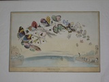 Title: E-migration or a flight of fair game. | Date: 1832 | Technique: lithograph, printed in black ink, from one stone; hand-coloured