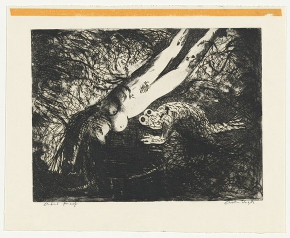 Artist: b'BOYD, Arthur' | Title: b'Diving nude and frog over a dark pond.' | Date: 1962-63 | Technique: b'etching and aquatint, printed in black ink, from one plate' | Copyright: b'Reproduced with permission of Bundanon Trust' Artist: b'BOYD, Arthur' | Title: b'Diving nude and frog over a dark pond.' | Date: 1962-63 | Technique: b'etching and aquatint, printed in black ink, from one plate' | Copyright: b'Reproduced with permission of Bundanon Trust'