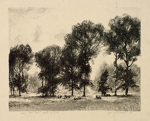 Artist: b'GOODCHILD, John' | Title: b'Light through trees' | Date: 1926 | Technique: b'lithograph, printed in black ink, from one stone' Artist: b'GOODCHILD, John' | Title: b'Light through trees' | Date: 1926 | Technique: b'lithograph, printed in black ink, from one stone'