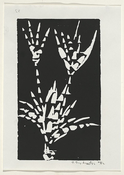Artist: b'Grey-Smith, Guy' | Title: b'Plant form' | Date: 1975 | Technique: b'linocut, printed in black ink, from one block' Artist: b'Grey-Smith, Guy' | Title: b'Plant form' | Date: 1975 | Technique: b'linocut, printed in black ink, from one block'