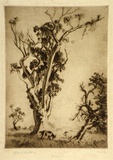 Artist: b'LINDSAY, Lionel' | Title: b'Pastoral' | Date: 1924 | Technique: b'drypoint, printed in brown ink with plate-tone, from one plate' | Copyright: b'Courtesy of the National Library of Australia'
