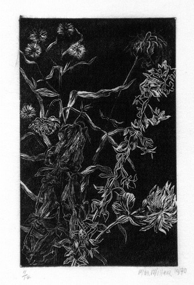 Artist: b'Miller, Max.' | Title: b'Flowers, foliage' | Date: 1970 | Technique: b'wood-engraving, printed in black ink, from one block' Artist: b'Miller, Max.' | Title: b'Flowers, foliage' | Date: 1970 | Technique: b'wood-engraving, printed in black ink, from one block'