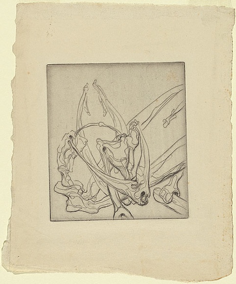 Artist: b'Graham, Geoffrey.' | Title: b'Bone figure.' | Date: c.1938 | Technique: b'etching, printed in black ink, from one plate' Artist: b'Graham, Geoffrey.' | Title: b'Bone figure.' | Date: c.1938 | Technique: b'etching, printed in black ink, from one plate'
