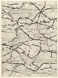 Artist: b'Westcott, Kim.' | Title: b'Branching.' | Date: 1996 | Technique: b'drypoint, printed in black ink, from one plate' | Copyright: b'\xc2\xa9 Kim Westcott.'