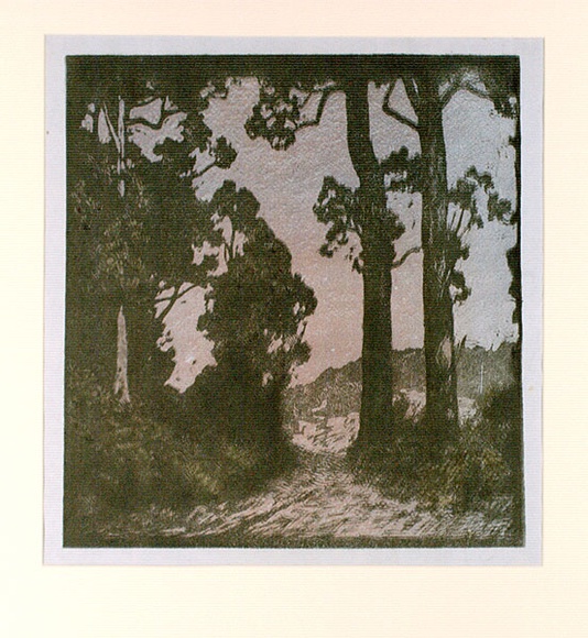 Artist: b'Reynolds, Frederick George.' | Title: b'(Forest clearing)' | Date: c.1931 | Technique: b'woodblock, printed in colour, from multiple blocks' Artist: b'Reynolds, Frederick George.' | Title: b'(Forest clearing)' | Date: c.1931 | Technique: b'woodblock, printed in colour, from multiple blocks'