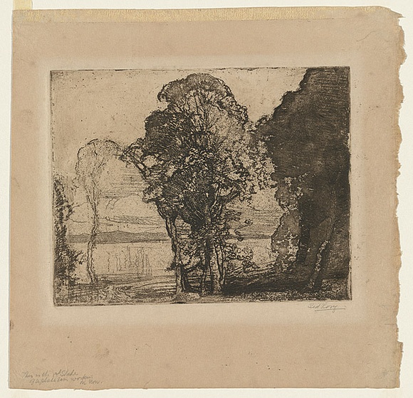 Artist: b'Long, Sydney.' | Title: b'The lake' | Date: c.1919 | Technique: b'softground etching, printed from one zinc plate' | Copyright: b'Reproduced with the kind permission of the Ophthalmic Research Institute of Australia' Artist: b'Long, Sydney.' | Title: b'The lake' | Date: c.1919 | Technique: b'softground etching, printed from one zinc plate' | Copyright: b'Reproduced with the kind permission of the Ophthalmic Research Institute of Australia'