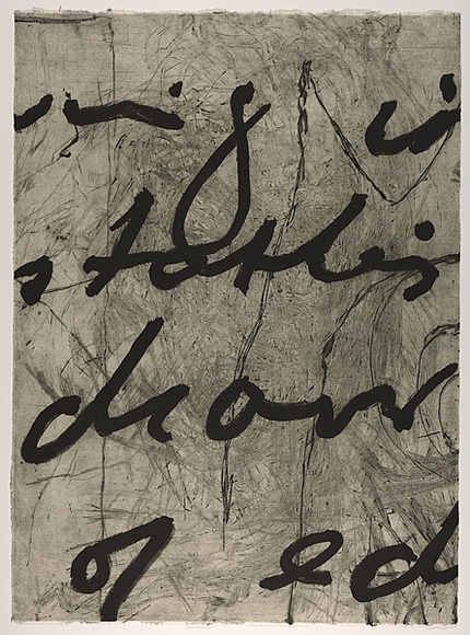 Artist: b'PARR, Mike' | Title: b'Language and chaos 5.' | Date: 1990 | Technique: b'drypoint, electric grinder and burnishing, printed in black ink, from one copper plate; over printed with lift ground aquatint, printed in black ink, from one steel plate' Artist: b'PARR, Mike' | Title: b'Language and chaos 5.' | Date: 1990 | Technique: b'drypoint, electric grinder and burnishing, printed in black ink, from one copper plate; over printed with lift ground aquatint, printed in black ink, from one steel plate'