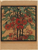 Artist: PRESTON, Margaret | Title: Wheelflower. | Date: 1929 | Technique: woodcut, printed in black ink, from one block; hand-coloured | Copyright: © Margaret Preston. Licensed by VISCOPY, Australia