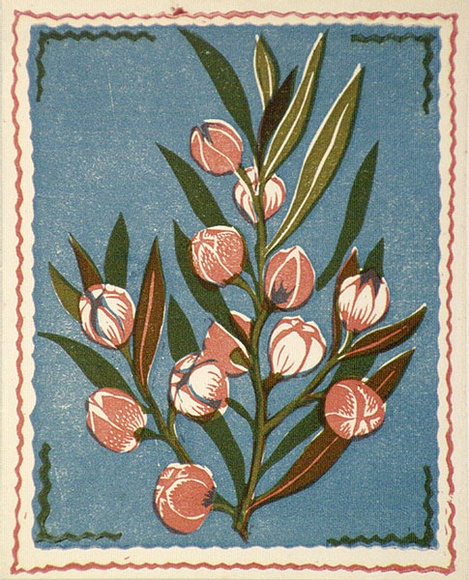 Artist: b'OGILVIE, Helen' | Title: b'Greeting card: Christmas, Wax Flower' | Technique: b'linocut, printed in colour, from multiple blocks' Artist: b'OGILVIE, Helen' | Title: b'Greeting card: Christmas, Wax Flower' | Technique: b'linocut, printed in colour, from multiple blocks'