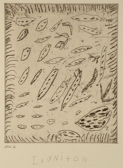 Artist: b'Janyka, Nixon Ivy.' | Title: b'Jurnta (bush onion)' | Date: 1994, October - November | Technique: b'etching, printed in black ink, from one plate' Artist: b'Janyka, Nixon Ivy.' | Title: b'Jurnta (bush onion)' | Date: 1994, October - November | Technique: b'etching, printed in black ink, from one plate'