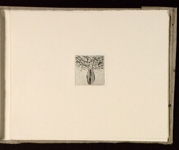 Artist: b'Mann, Gillian.' | Title: b'(Lined form).' | Date: 1981 | Technique: b'etching, printed in black ink, from one plate' Artist: b'Mann, Gillian.' | Title: b'(Lined form).' | Date: 1981 | Technique: b'etching, printed in black ink, from one plate'