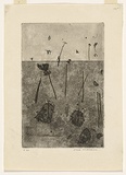 Artist: b'WILLIAMS, Fred' | Title: b'Gum trees in landscape, Lysterfield' | Date: 1965-66 | Technique: b'etching, aquatint, sugar aquatint and drypoint, printed in black ink, from one copper plate' | Copyright: b'\xc2\xa9 Fred Williams Estate'