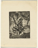 Artist: Cilento, Margaret. | Title: L'arbre sur neige. | Date: 1951 | Technique: etching and aquatint, printed in black ink, from one plate