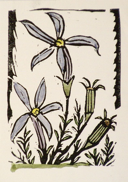 Artist: b'OGILVIE, Helen' | Title: b'Greeting card: Orchids' | Date: 1981 | Technique: b'linocut, printed in black ink, from one block; hand-coloured' Artist: b'OGILVIE, Helen' | Title: b'Greeting card: Orchids' | Date: 1981 | Technique: b'linocut, printed in black ink, from one block; hand-coloured'