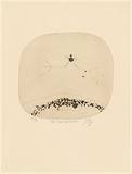 Artist: b'Olsen, John.' | Title: b'The Christ bird arrives' | Date: 1975 | Technique: b'sugarlift etching, engraving and aquatint, printed in brown ink with plate-tone, from one zinc plate' | Copyright: b'\xc2\xa9 John Olsen. Licensed by VISCOPY, Australia'