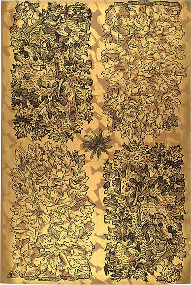 Artist: b'REDBACK GRAPHIX' | Title: b'Wrapping paper: Gold' | Date: 1986 | Technique: b'screenprint, printed in colour, from three stencils' Artist: b'REDBACK GRAPHIX' | Title: b'Wrapping paper: Gold' | Date: 1986 | Technique: b'screenprint, printed in colour, from three stencils'