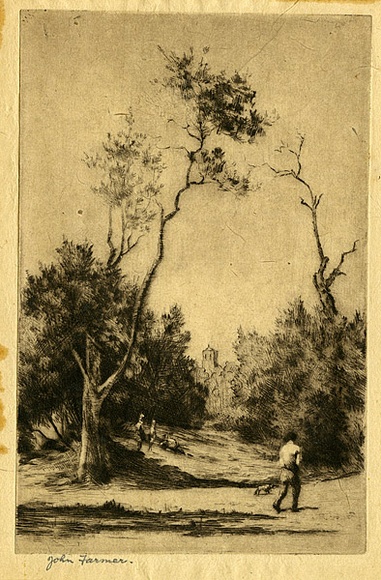 Artist: b'Farmer, John.' | Title: b'Old banksias.' | Date: c.1960 | Technique: b'drypoint, printed in black ink with plate-tone, from one plate' Artist: b'Farmer, John.' | Title: b'Old banksias.' | Date: c.1960 | Technique: b'drypoint, printed in black ink with plate-tone, from one plate'