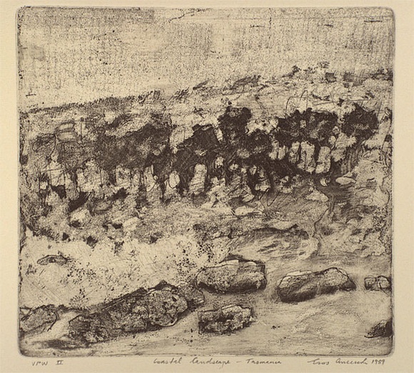 Artist: b'Anceschi, Eros.' | Title: b'Coastal landscape - Tasmania' | Date: 1989 | Technique: b'etching and aquatint, printed in black ink, from one plate' Artist: b'Anceschi, Eros.' | Title: b'Coastal landscape - Tasmania' | Date: 1989 | Technique: b'etching and aquatint, printed in black ink, from one plate'