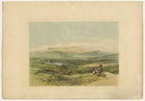 Artist: b'PROUT, John Skinner' | Title: b'Ben Lomond from Fingal VDL' | Date: 1844 | Technique: b'lithograph, printed in black ink, from one stone; hand-coloured'