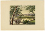 Artist: b'Angas, George French.' | Title: b'The city of Adelaide from the Torrens near the reed beds.' | Date: 1846-47 | Technique: b'lithograph, printed in colour, from multiple stones; varnish highlights by brush'