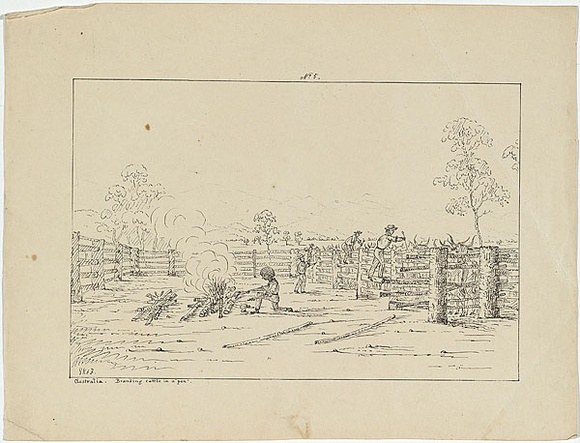 Artist: b'Fairholme, George Knight Erskine.' | Title: b'Australia. Branding cattle in a pen.' | Date: c.1853 | Technique: b'lithograph, printed in black ink, from one stone' Artist: b'Fairholme, George Knight Erskine.' | Title: b'Australia. Branding cattle in a pen.' | Date: c.1853 | Technique: b'lithograph, printed in black ink, from one stone'