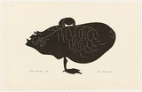 Artist: Thake, Eric. | Title: Bird watching | Date: 1965 | Technique: linocut, printed in black ink, from one block