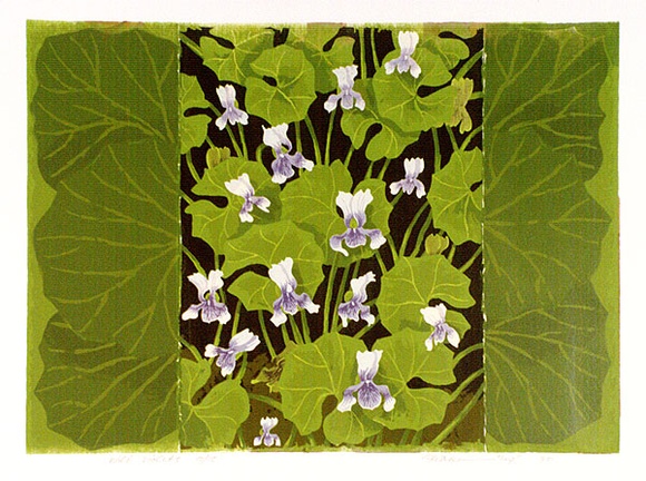 Artist: b'Fletcher, William.' | Title: b'Wild Violets.' | Date: 1980 | Technique: b'screenprint, printed in colour, from multiple stencils' | Copyright: b'With the permission of The William Fletcher Trust which provides assistance to young artists.' Artist: b'Fletcher, William.' | Title: b'Wild Violets.' | Date: 1980 | Technique: b'screenprint, printed in colour, from multiple stencils' | Copyright: b'With the permission of The William Fletcher Trust which provides assistance to young artists.'