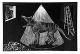 Artist: Moynihan, Danny. | Title: Thylacinus Cynocephalus (Tasmanian tiger) | Date: 1984 | Technique: aquatint, etching, deep bite, printed in black ink, from one plate