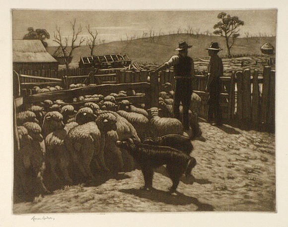 Artist: b'LINDSAY, Lionel' | Title: b'Drafting sheep' | Date: 1947 | Technique: b'etching and foul biting, printed in warm black ink, from one plate' | Copyright: b'Courtesy of the National Library of Australia'