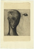 Artist: Palethorpe, Jan | Title: Some Greek got hit by a tortoise | Date: 1989 | Technique: etching, printed in black ink, from one plate