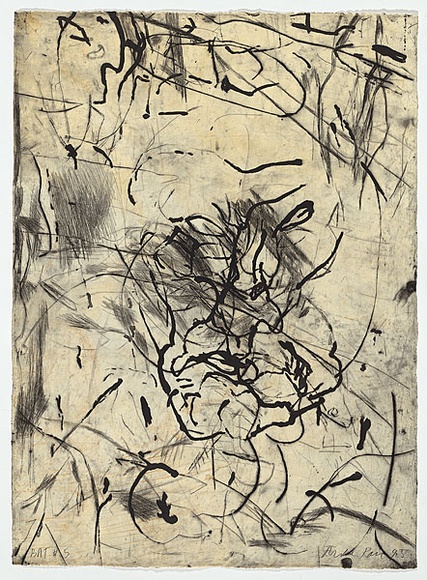 Artist: b'PARR, Mike' | Title: b'Polish mud # 5' | Date: 1995 | Technique: b'drypoint and lift-ground aquatint, printed in colour, from 2 copper plates'