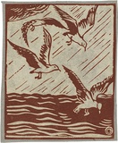 Artist: Reynell, Gladys | Title: (Sea gulls). | Date: 1923-1933 | Technique: linocut, printed in sepia ink, from one block | Copyright: © The Estate of Gladys Reynell
