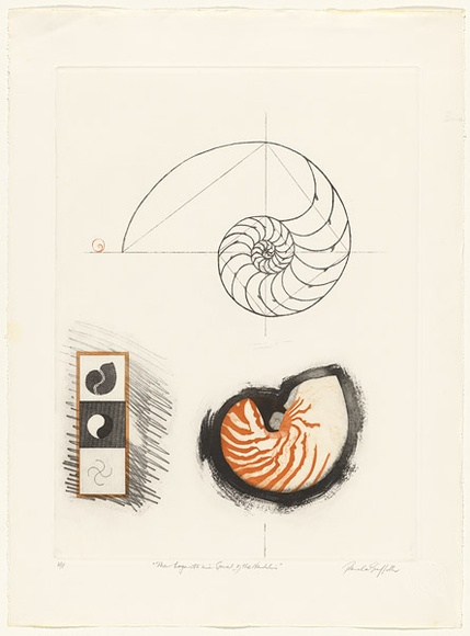 Artist: b'GRIFFITH, Pamela' | Title: b'The logarithmic spiral of the Nautilus' | Date: 1981 | Technique: b'hard ground, aquatint, sugarlift, soft ground, on two zinc' | Copyright: b'\xc2\xa9 Pamela Griffith' Artist: b'GRIFFITH, Pamela' | Title: b'The logarithmic spiral of the Nautilus' | Date: 1981 | Technique: b'hard ground, aquatint, sugarlift, soft ground, on two zinc' | Copyright: b'\xc2\xa9 Pamela Griffith'