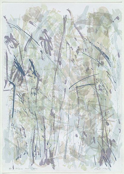Artist: MEYER, Bill | Title: Holcombe Forest triptych | Date: 1988 | Technique: screenprint, printed in colour, from multiple stencils | Copyright: © Bill Meyer